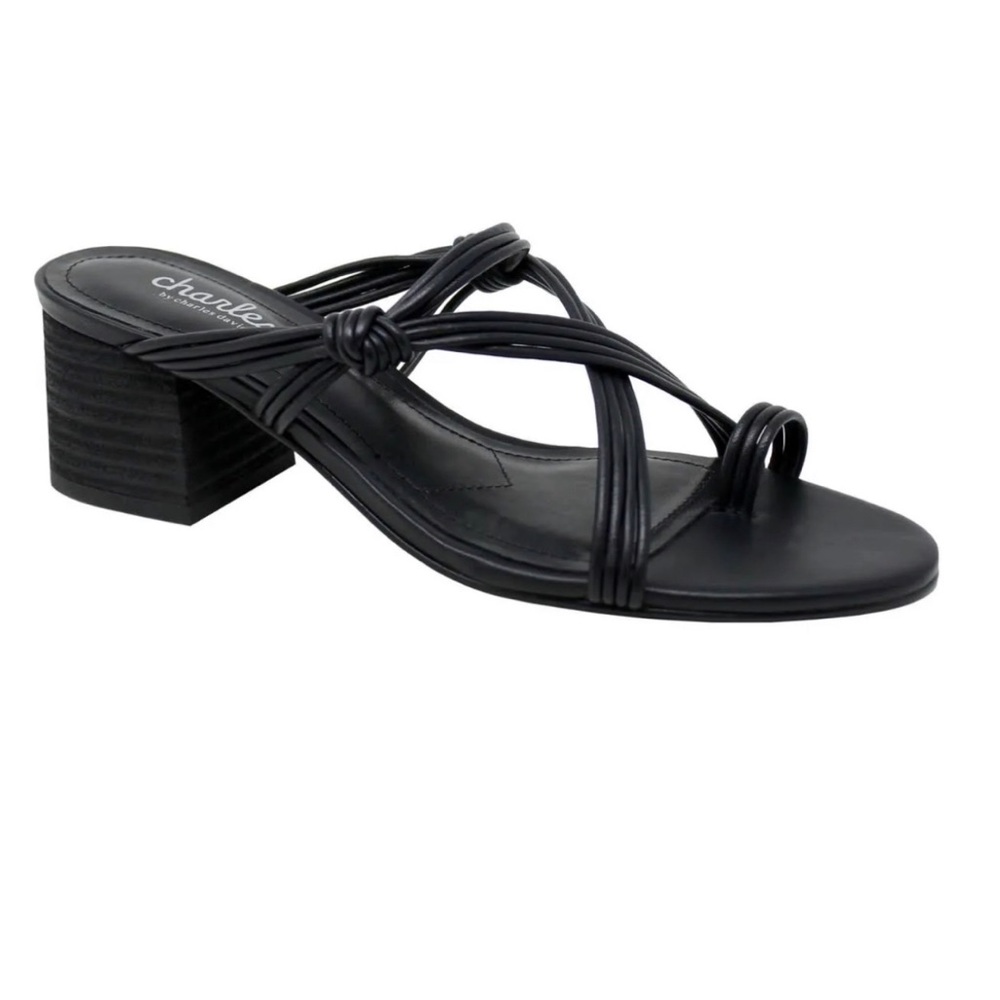 NIB 10 Charles David Captain Block Heel Sandal